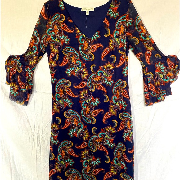 ❤️ SHEER RAFFLES LONG SLEEVE DRESS by: JAMIE & LAYLA - Picture 1 of 6